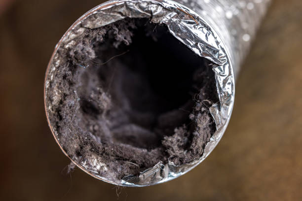 Best Best Air Duct Cleaning Company  in Palmhurst, TX
