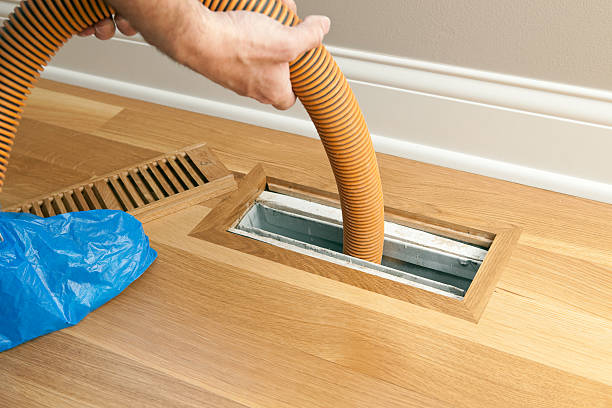 Best Air Duct Mold Removal  in Palmhurst, TX