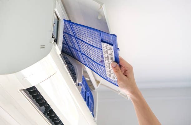Best Air Vent Cleaning Services  in Palmhurst, TX