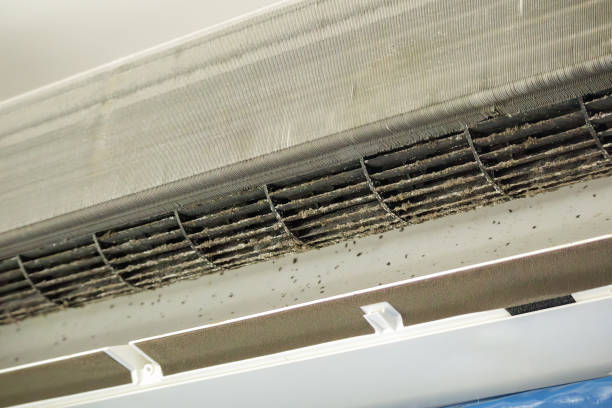 Best Commercial HVAC Duct Cleaning  in Palmhurst, TX